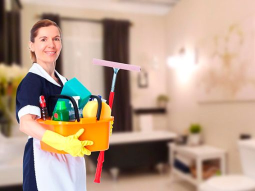 Trabajo doméstico Trabajo doméstico